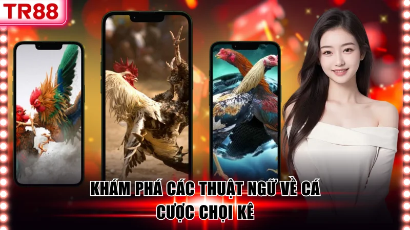 Khám phá các thuật ngữ về cá cược chọi kê
