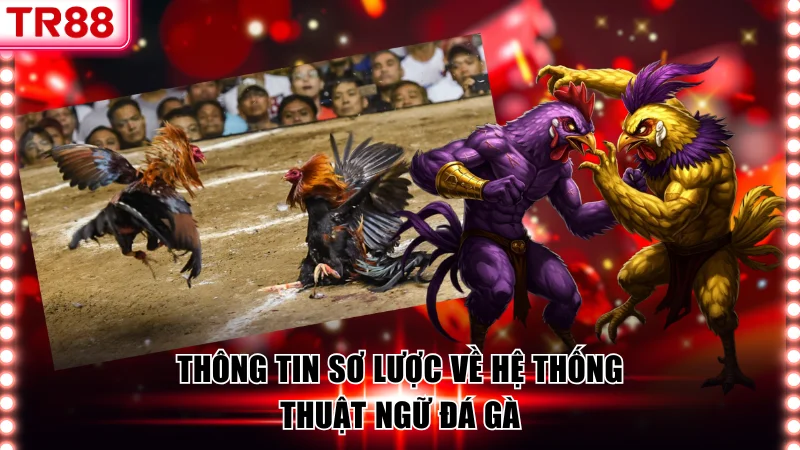 Thông tin sơ lược về hệ thống thuật ngữ đá gà